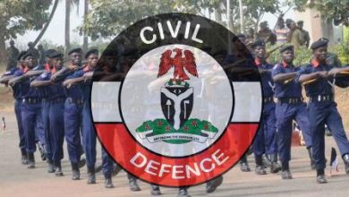 Complete Guide to Nigerian Security Services Salaries 2025/2026: Current Rates for Civil Defence, Immigration, Correctional Service & Fire Service