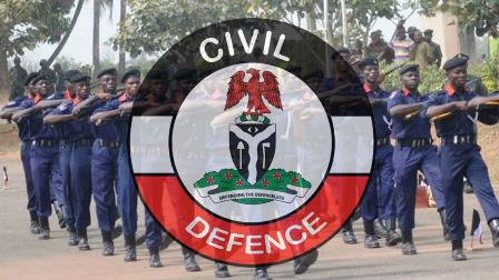 Complete Guide to Nigerian Security Services Salaries 2025/2026: Current Rates for Civil Defence, Immigration, Correctional Service & Fire Service