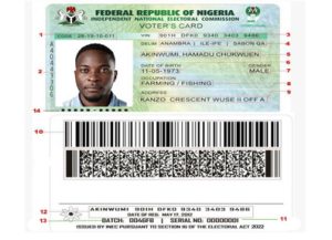 How to Print a Temporary Voter's Card Online in Nigeria and how To print